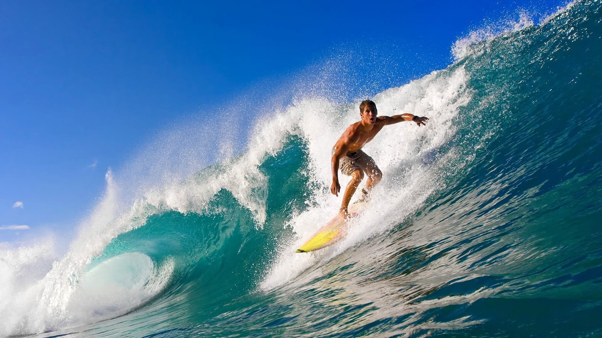 AYX GAME-北美战队赢得BLAST预选赛席位，北美是哪个战队